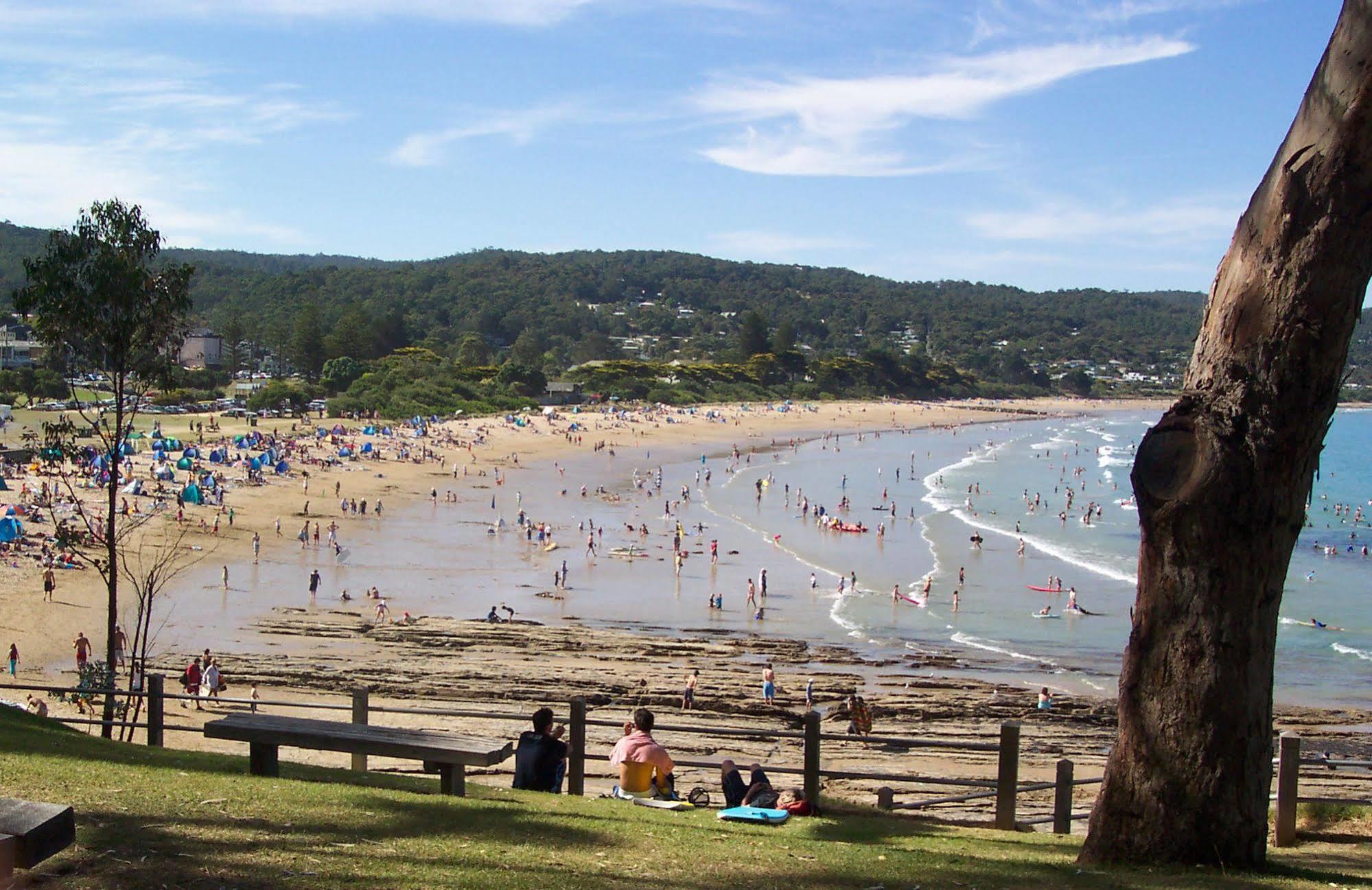 Lorne Bush House Cottages & Eco Retreats Екстериор снимка